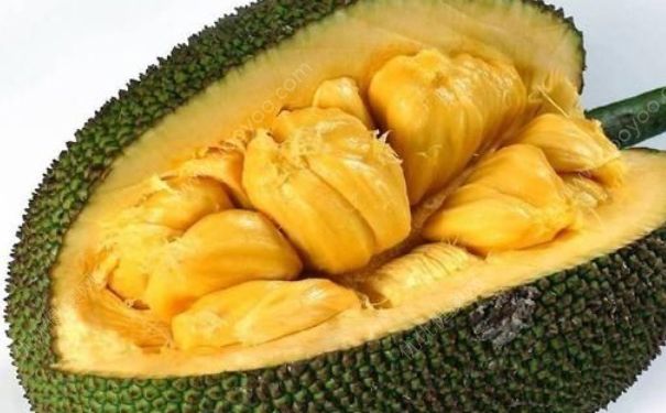 菠蘿蜜能放冰箱嗎？菠蘿蜜可不可以放冰箱冷藏？(1)