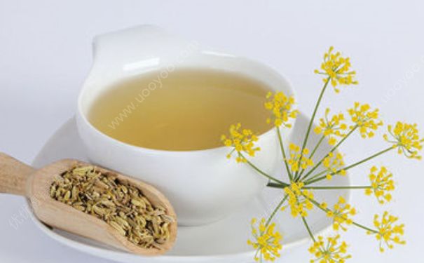 午餐如何才能夠吃得好？午餐后喝什么茶對身體好？(1)
