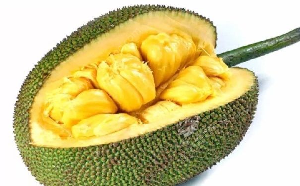 菠蘿蜜能不能放冰箱？菠蘿蜜放冰箱保存好嗎？(1)