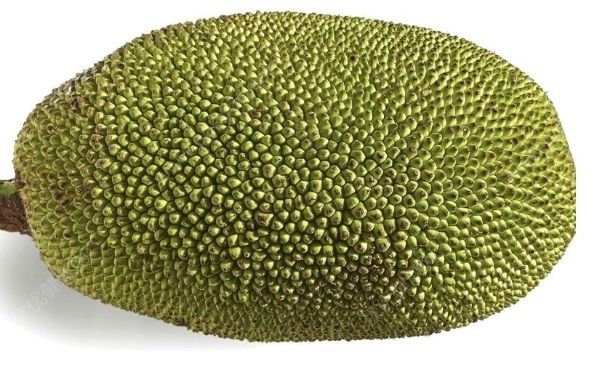 菠蘿蜜能不能放冰箱？菠蘿蜜放冰箱保存好嗎？(4)