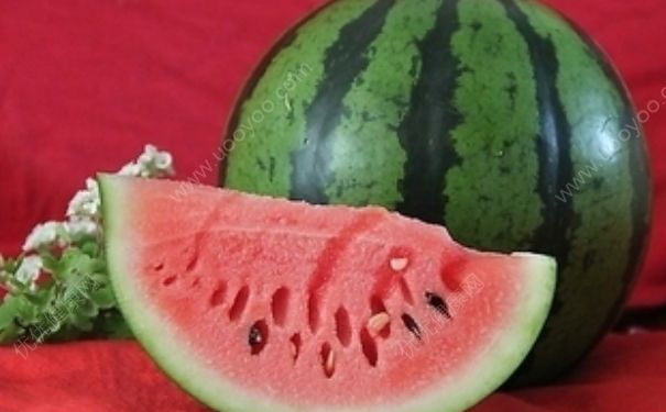 夏天吃西瓜有哪些功效？夏天吃西瓜有哪些注意事項(xiàng)？(1)