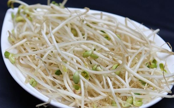 豆芽可治療哪些疾??？用豆芽治病的食療方法(1)