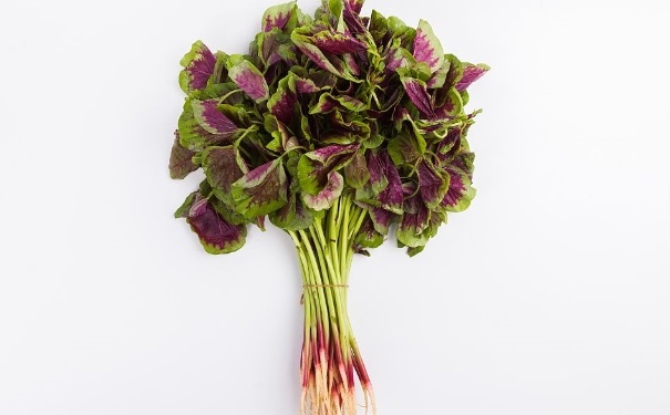 莧菜有哪些營養(yǎng)價值？莧菜的功效作用有哪些？(1)