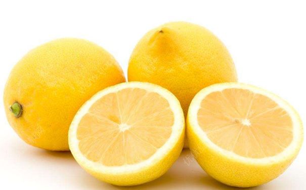 女人夏季養(yǎng)生吃什么？女人夏季怎樣養(yǎng)生好？(2)