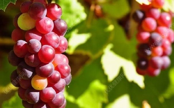 葡萄吃太多會(huì)怎么樣？葡萄吃多了有哪些壞處？(1)