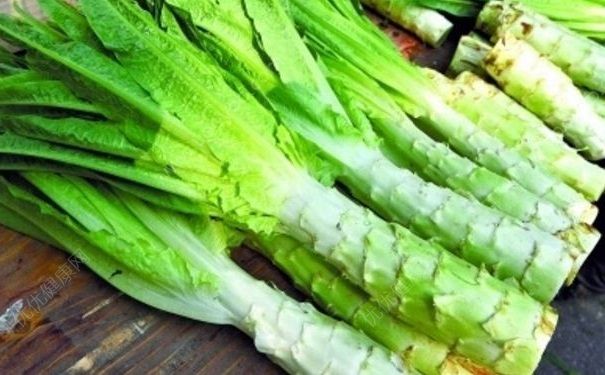 菜葉上有洞還能不能吃？有蟲眼的蔬菜能吃嗎？(3)