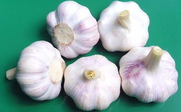 夏天要多吃什么食物？夏天要多吃哪些食物？(1)