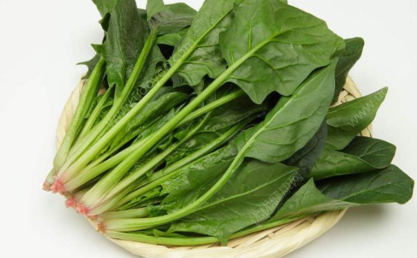 皮膚過敏吃什么蔬菜好？皮膚過敏最好要多吃哪些蔬菜？(2)
