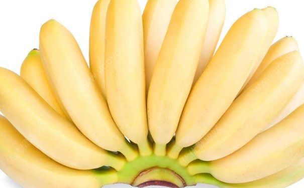 痛風(fēng)能吃香蕉嗎？痛風(fēng)病人吃香蕉好嗎？(1)