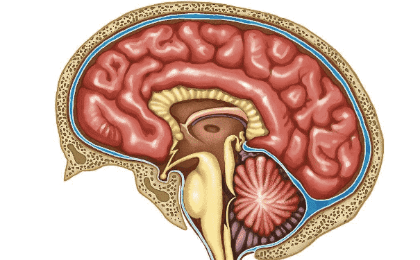 大腦發(fā)育不良要怎么治療？怎么有效的治療大腦發(fā)育不良？(1)