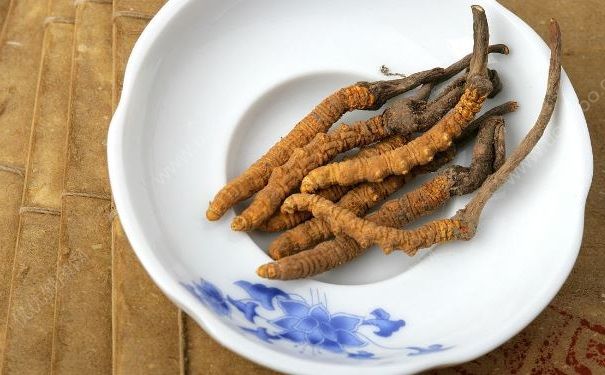 冬蟲夏草被確認(rèn)根本不抗癌，冬蟲夏草到底有什么好處？(4)