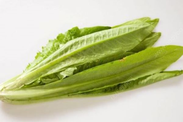 哪些野菜有藥用價值？吃野菜要注意什么？(1)