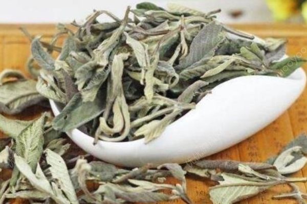 番石榴葉茶有哪些功效？番石榴葉茶有副作用嗎？(1)