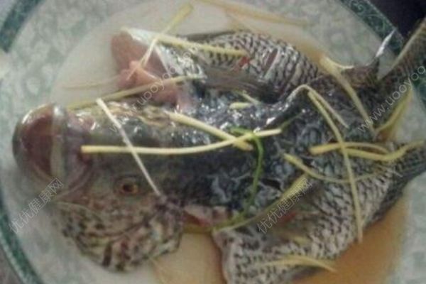 石斑魚(yú)的功效有哪些？吃石斑魚(yú)的好處有哪些？(1)