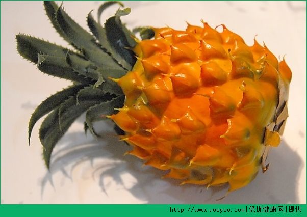 感冒能吃菠蘿嗎？感冒吃菠蘿好嗎？(2)
