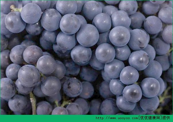 吃葡萄牙酸怎么辦？吃葡萄為什么會(huì)牙酸？(2)