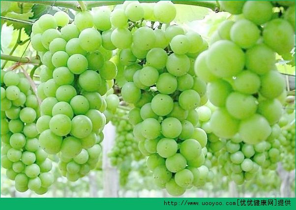 吃葡萄牙酸怎么辦？吃葡萄為什么會(huì)牙酸？(3)