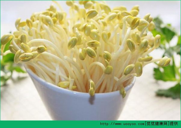 豆芽怎么發(fā)？黃豆芽怎么發(fā)？怎么栽培黃豆芽？(1)