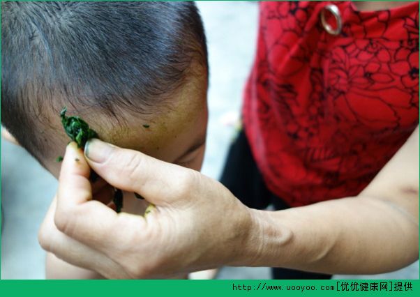 苦瓜的葉子有什么功效？苦瓜的葉子可以用來干什么？(4)
