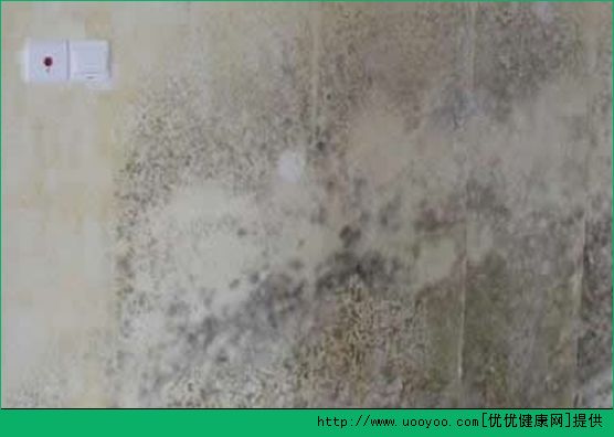 家里潮濕發(fā)霉怎么辦？家里潮濕有什么妙招？(1)