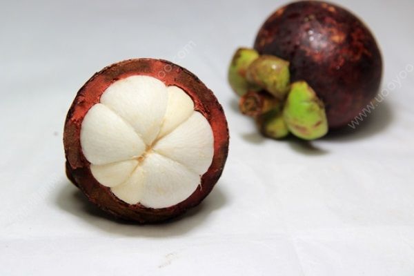 山竹和荔枝能一起吃嗎？山竹和荔枝一起吃好嗎？(1)