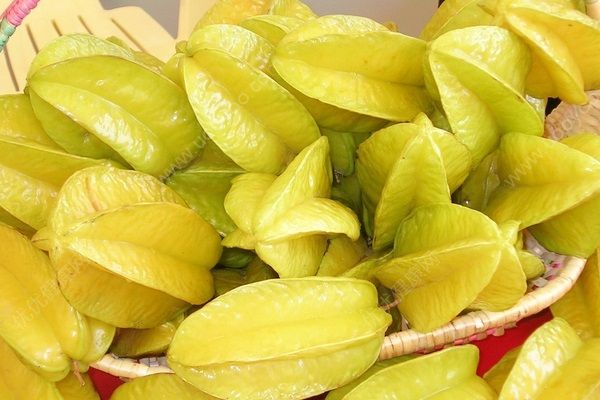 楊桃是哪里的特產(chǎn)？楊桃生長在哪里？(2)