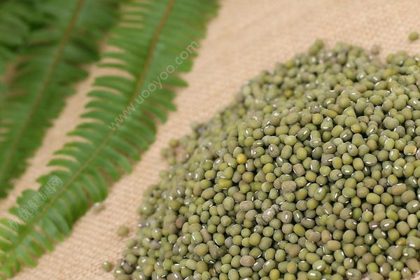 胃病能吃綠豆嗎？胃病喝綠豆湯好嗎？(4)