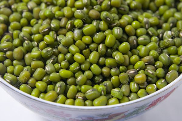 痛風(fēng)能吃綠豆嗎？痛風(fēng)患者能喝綠豆湯嗎？(2)