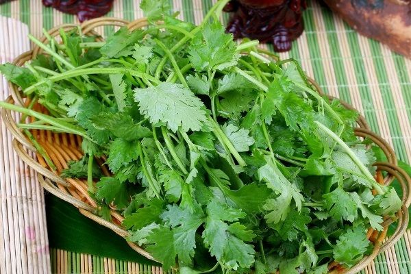 感冒發(fā)燒吃什么水果好？感冒發(fā)燒能吃枇杷嗎？(4)