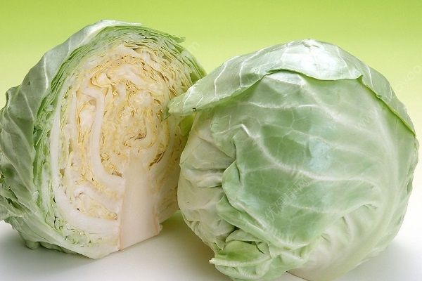 胃潰瘍吃什么食物好？胃潰瘍能吃包菜嗎？(2)