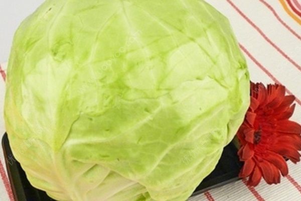 腎炎可以吃包菜嗎？腎炎吃包菜好不好？(2)