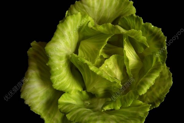 吃包菜會回奶嗎？哺乳期可以吃包菜嗎？(4)