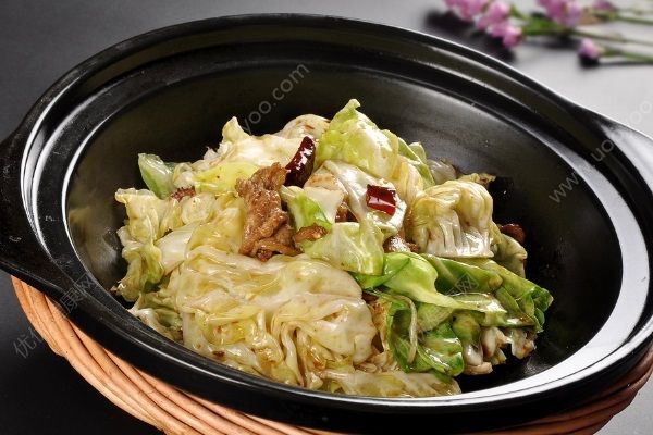 包菜是涼性的嗎？包菜是涼性還是熱性？(3)