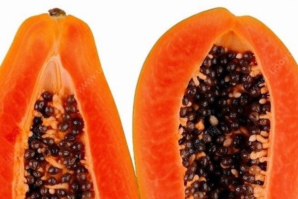 木瓜是怎么傳播種子的？木瓜如何傳播種子？(4)