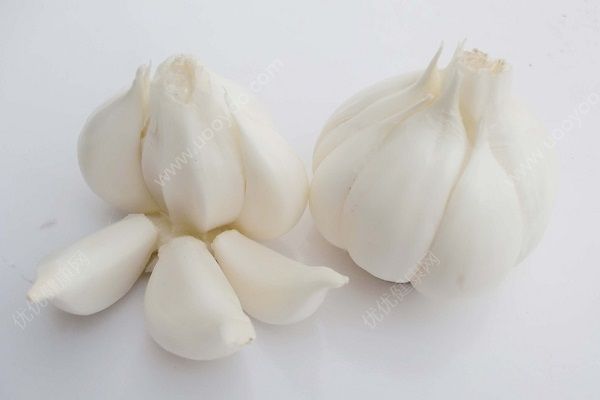 蚊子咬了怎么消腫止癢最快？蚊子咬的紅點(diǎn)怎么快速消除？(5)