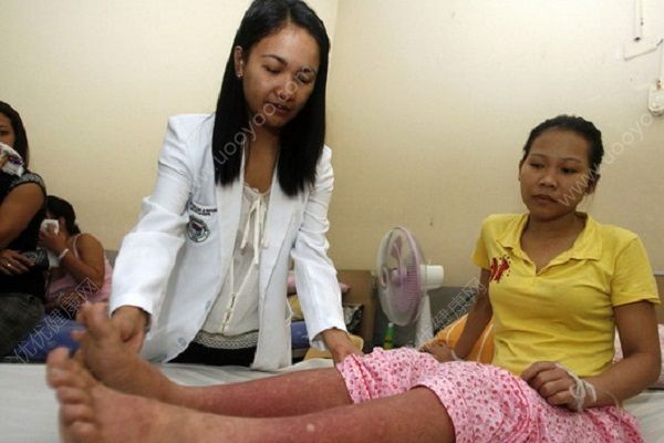 蚊子容易傳播哪些疾??？蚊子傳播的主要疾病有哪些？(4)