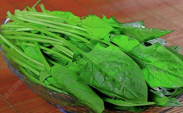倉鼠吃生菜嗎？倉鼠能吃生菜嗎？(2)