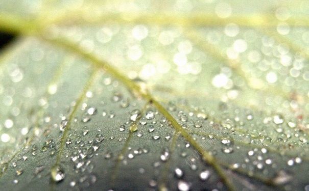 衣服淋雨需要重洗么？淋雨的衣服要重洗嗎？(4)