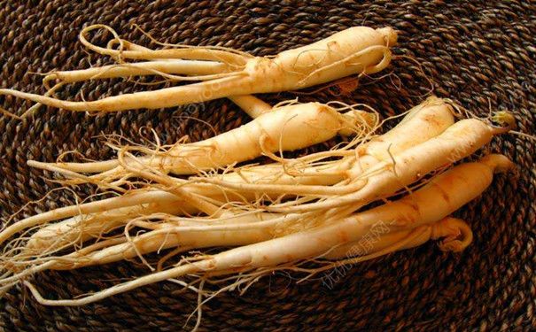 增強(qiáng)免疫力吃什么好？增強(qiáng)免疫力的食物有哪些？(3)