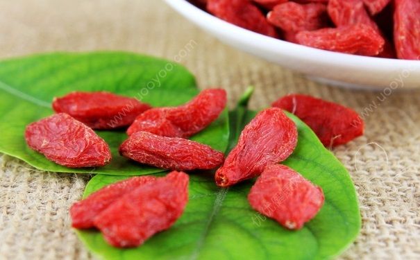 枸杞泡茶喝有什么好處？枸杞泡茶有什么功效？(1)
