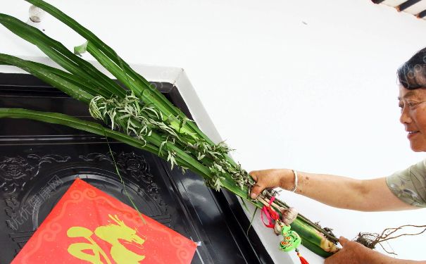 端午節(jié)為什么要掛艾草？端午節(jié)掛艾草的由來(2)