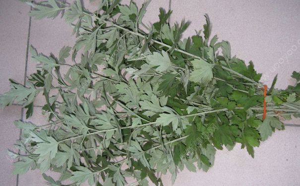 端午節(jié)為什么要掛艾草？端午節(jié)掛艾草的由來(4)