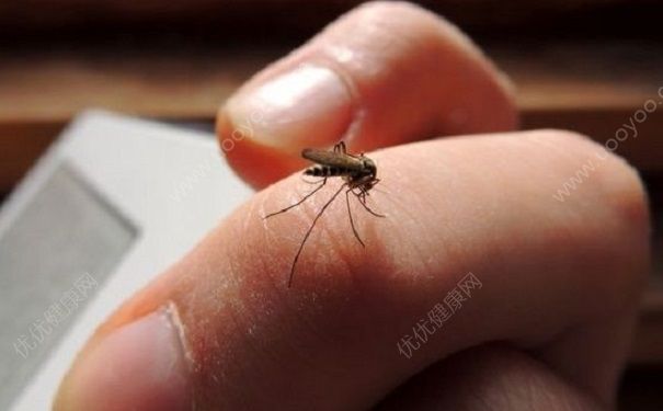 蚊子叮到眼睛怎么消除？眼睛被蚊子盯了怎么辦？(3)