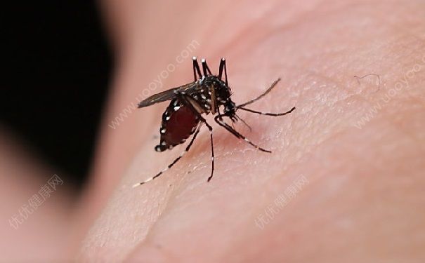 蚊子叮過為什么會腫起？蚊子咬了為什么會紅腫發(fā)癢？(2)