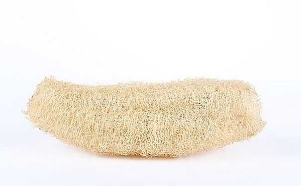 絲瓜絡能治什么?。拷z瓜絡的功效與作用(2)