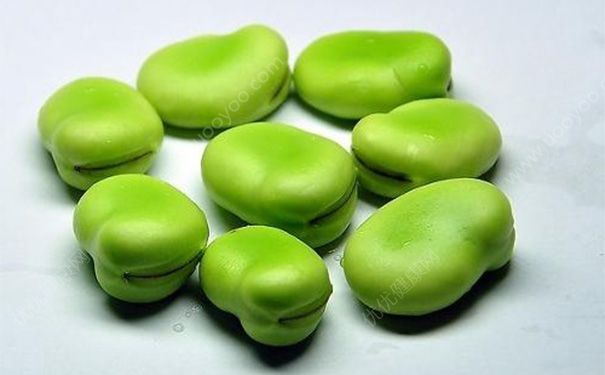 蠶豆治便秘嗎？吃蠶豆會(huì)便秘嗎？(3)
