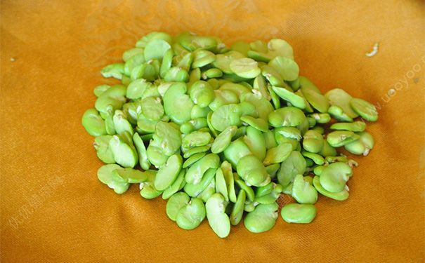 蠶豆上火嗎？吃蠶豆會(huì)上火嗎？(2)