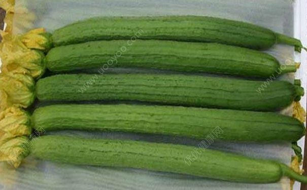 絲瓜能治咳嗽嗎？吃絲瓜可以治療咳嗽嗎？(1)