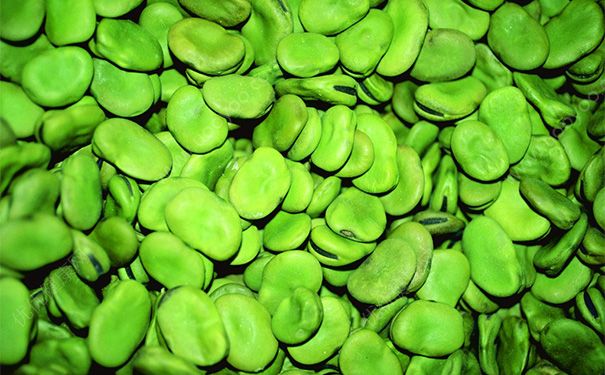 蠶豆治療帕金森？蠶豆能治帕金森病嗎？(2)