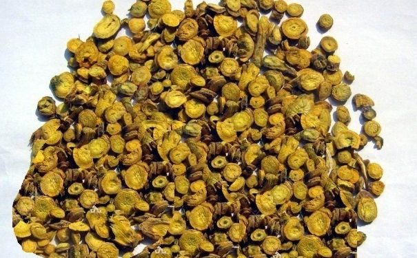 哪些中藥可以祛痘痘？中藥?kù)疃欢缓脝幔?6)